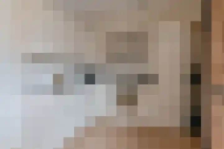 De Stobbe 60 Nieuw-Weerdinge thumbnail 20