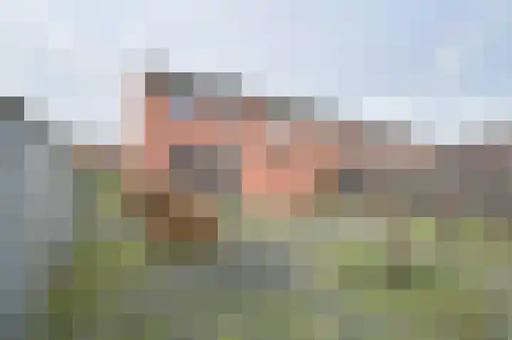 De Stobbe 60 Nieuw-Weerdinge foto 3