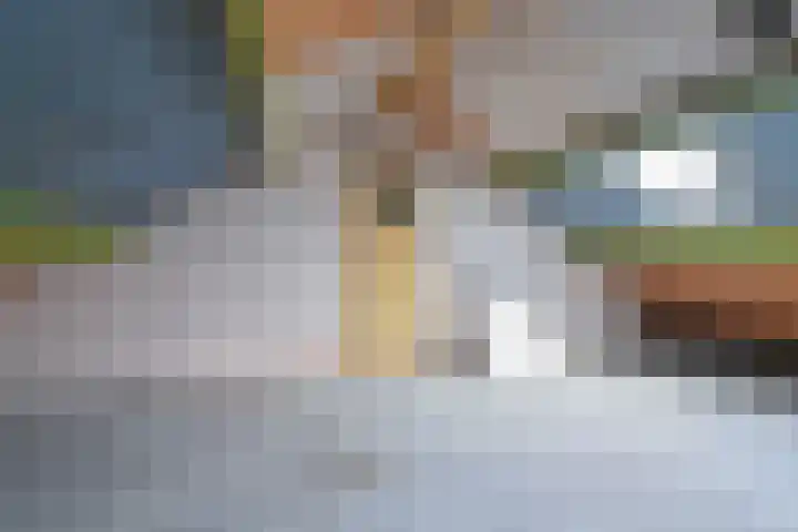 De Stobbe 60 Nieuw-Weerdinge thumbnail 49