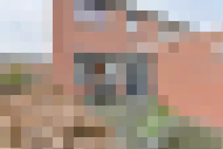De Stobbe 60 Nieuw-Weerdinge thumbnail 50