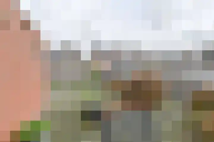 De Stobbe 60 Nieuw-Weerdinge thumbnail 54