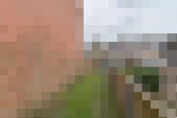 De Stobbe 60 Nieuw-Weerdinge thumbnail 55