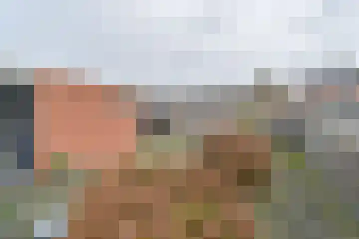 De Stobbe 60 Nieuw-Weerdinge thumbnail 56