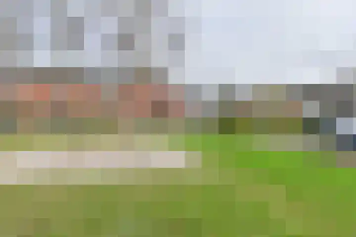 De Stobbe 60 Nieuw-Weerdinge thumbnail 58
