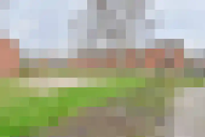 De Stobbe 60 Nieuw-Weerdinge thumbnail 59