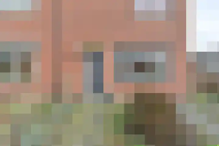 De Stobbe 60 Nieuw-Weerdinge thumbnail 6