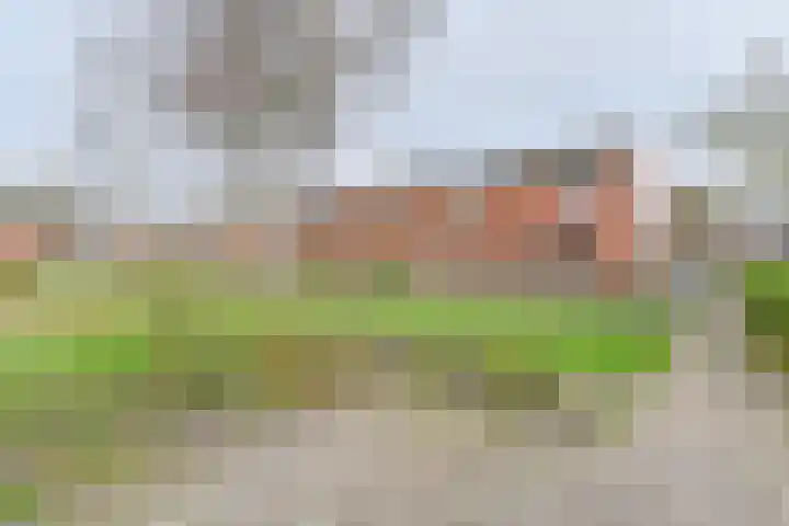 De Stobbe 60 Nieuw-Weerdinge thumbnail 60