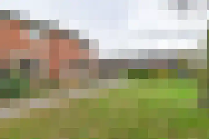 De Stobbe 60 Nieuw-Weerdinge thumbnail 61