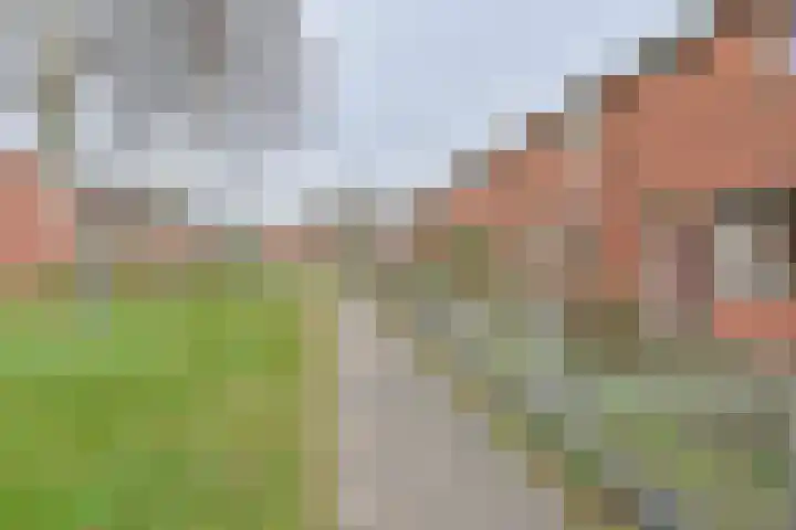 De Stobbe 60 Nieuw-Weerdinge thumbnail 63