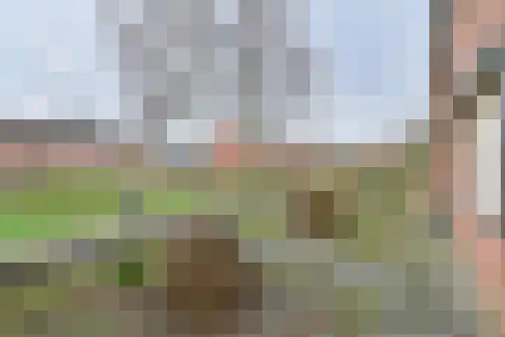 De Stobbe 60 Nieuw-Weerdinge thumbnail 64