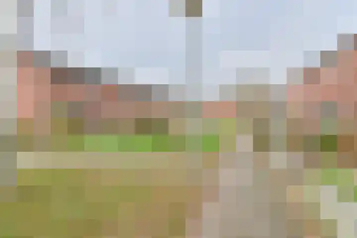 De Stobbe 60 Nieuw-Weerdinge thumbnail 65