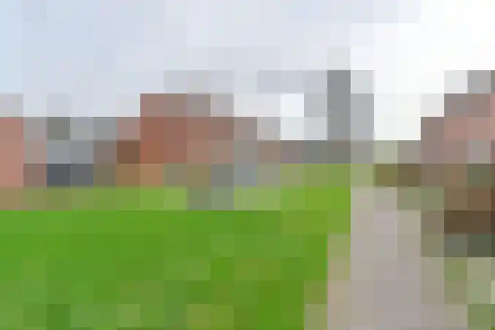 De Stobbe 60 Nieuw-Weerdinge thumbnail 66