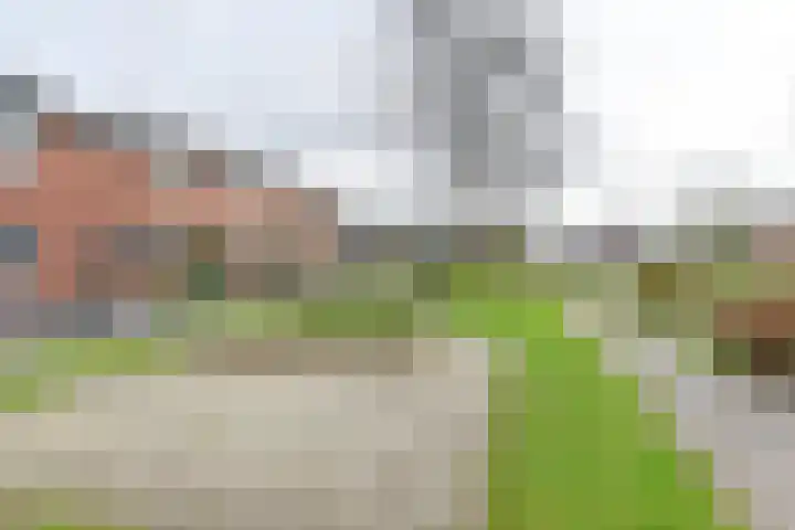 De Stobbe 60 Nieuw-Weerdinge thumbnail 67