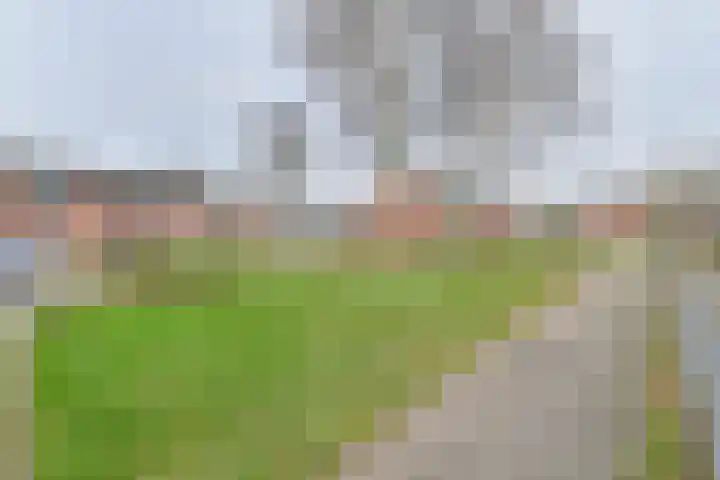 De Stobbe 60 Nieuw-Weerdinge thumbnail 68