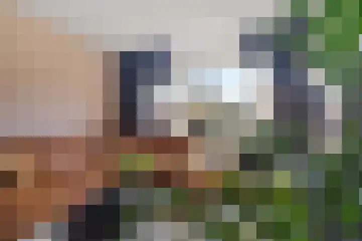 De Stobbe 66 Nieuw-Weerdinge thumbnail 12