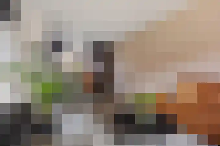 De Stobbe 66 Nieuw-Weerdinge thumbnail 13