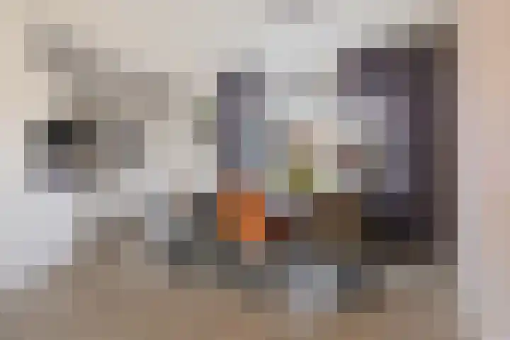 De Stobbe 66 Nieuw-Weerdinge thumbnail 14
