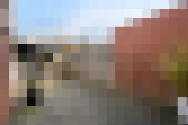 De Stobbe 66 Nieuw-Weerdinge thumbnail 37