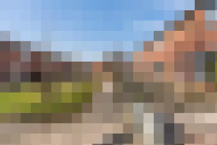 De Stobbe 66 Nieuw-Weerdinge thumbnail 4