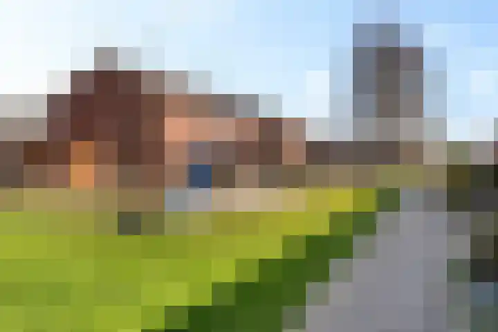 De Stobbe 66 Nieuw-Weerdinge thumbnail 5