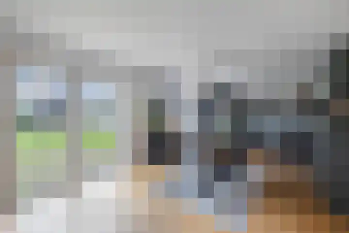 De Stobberoeier 4 Oudemirdum thumbnail 12
