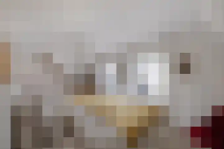De Stobberoeier 4 Oudemirdum thumbnail 27