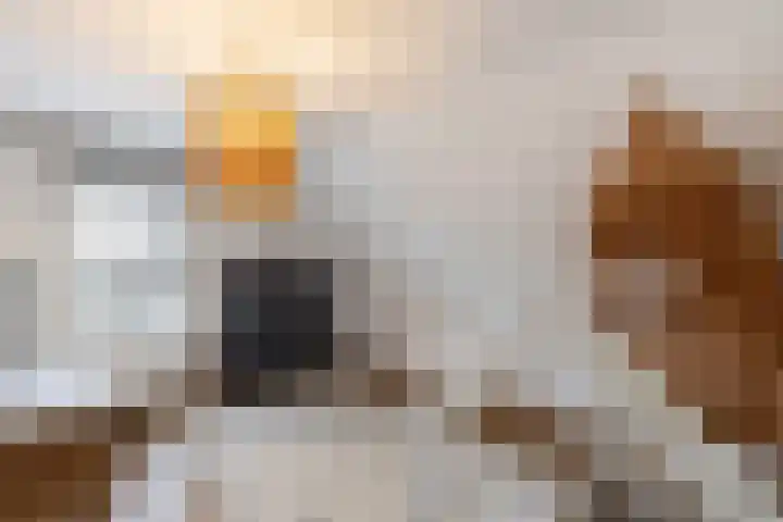 De Stobberoeier 4 Oudemirdum thumbnail 30