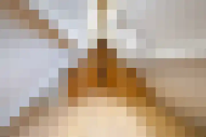 De Stobberoeier 4 Oudemirdum thumbnail 32