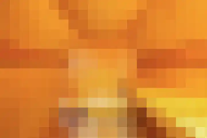 De Stobberoeier 4 Oudemirdum thumbnail 33