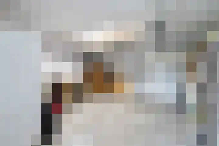 De Stobberoeier 4 Oudemirdum thumbnail 36