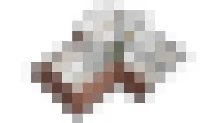 De Stobberoeier 4 Oudemirdum thumbnail 49