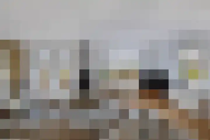 De Stobberoeier 4 Oudemirdum thumbnail 8