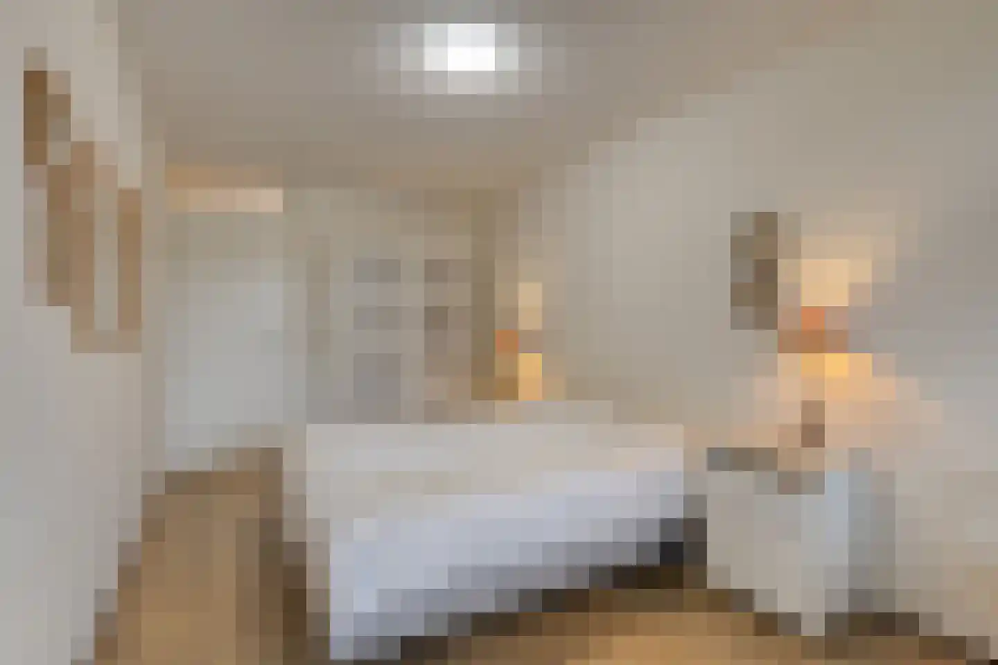 De Stockbempt 14 Nuenen thumbnail 18