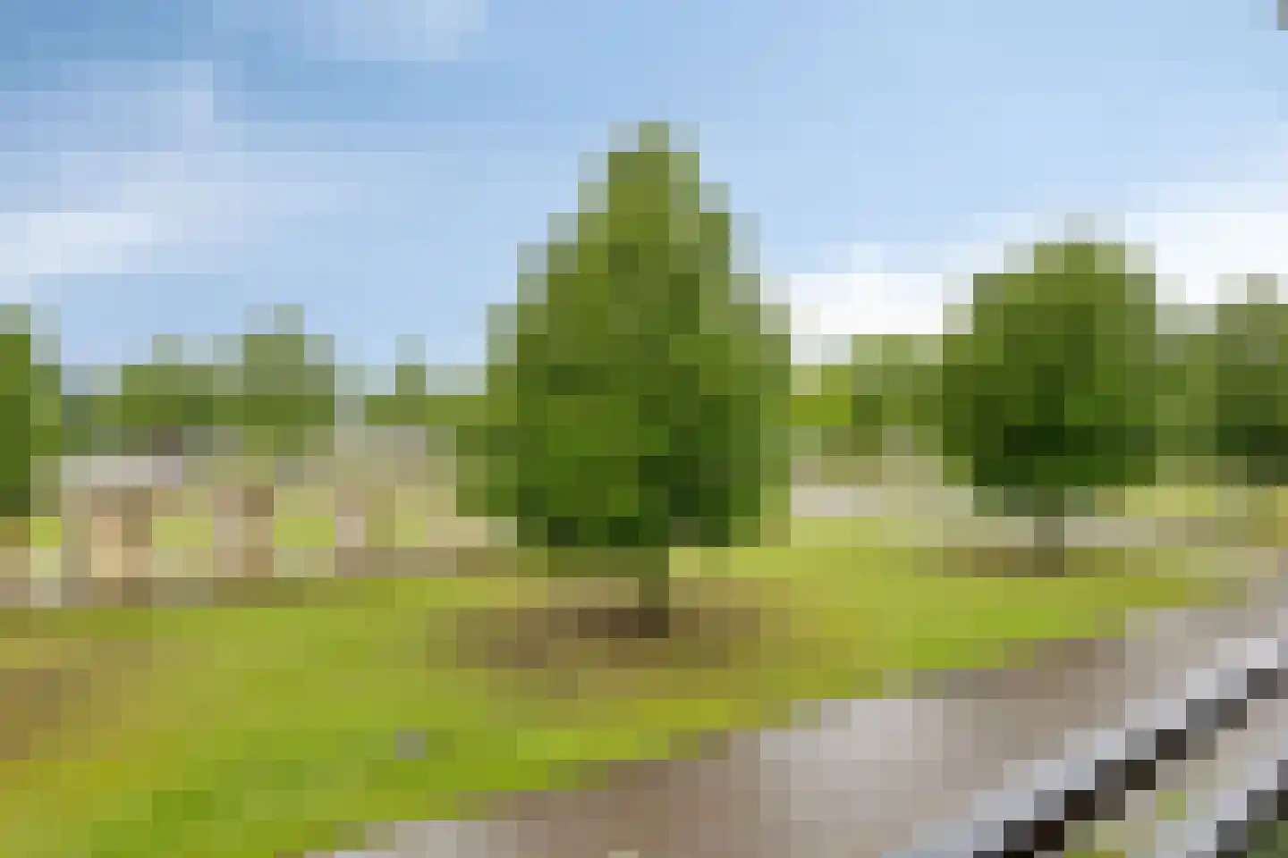 De Stockbempt 14 Nuenen thumbnail 22