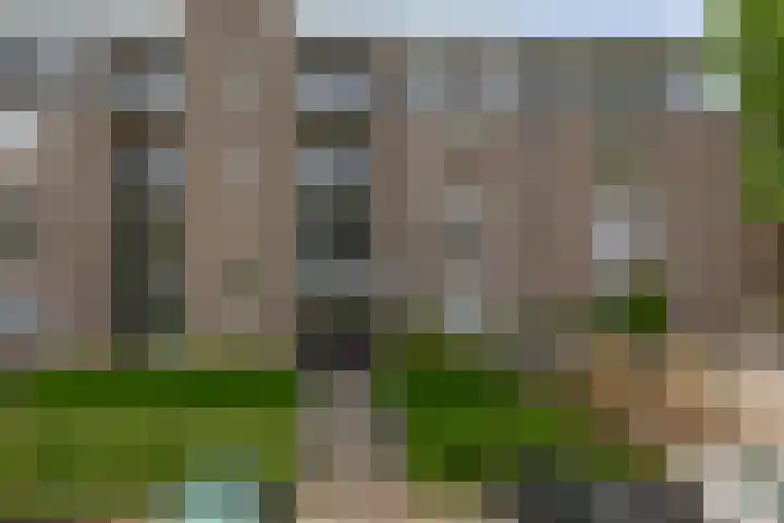 De Stockbempt 22 Nuenen thumbnail 10