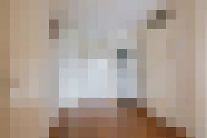 De Stockbempt 22 Nuenen thumbnail 19