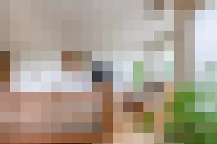 De Stockbempt 22 Nuenen thumbnail 27