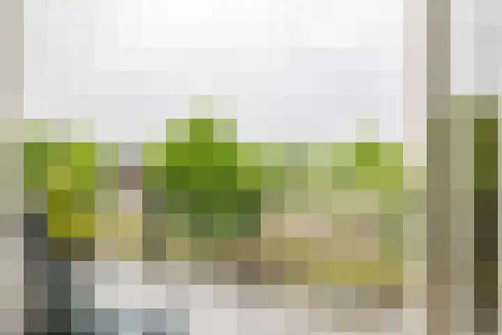 De Stockbempt 22 Nuenen thumbnail 4