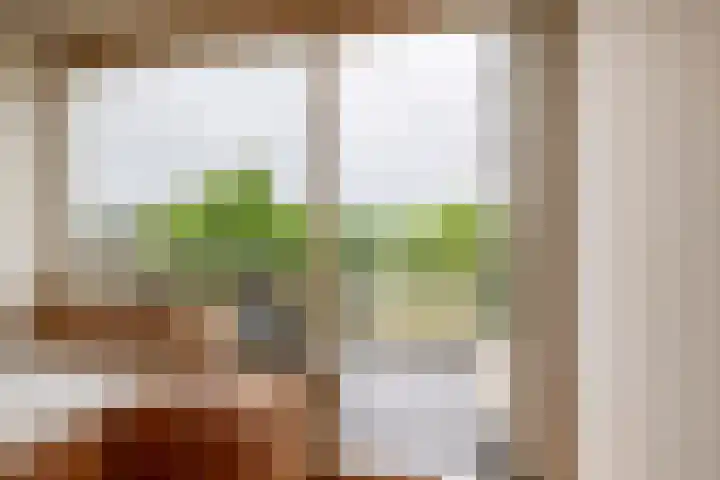 De Stockbempt 22 Nuenen thumbnail 40