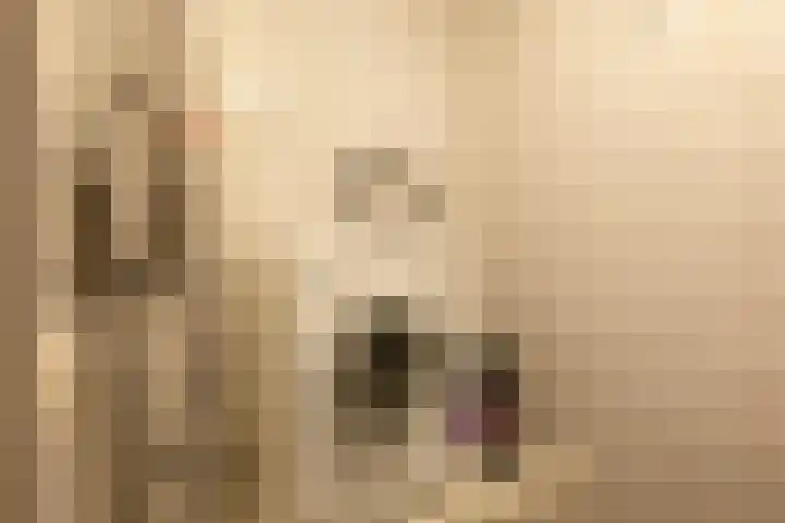 De Stockbempt 22 Nuenen thumbnail 48