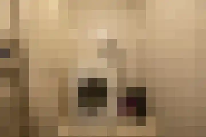 De Stockbempt 22 Nuenen thumbnail 49