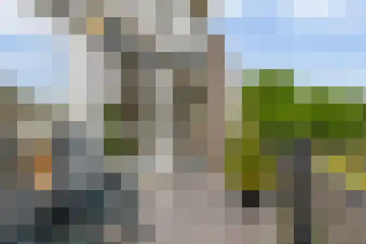 De Stockbempt 22 Nuenen thumbnail 53