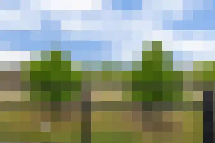 De Stockbempt 22 Nuenen thumbnail 54