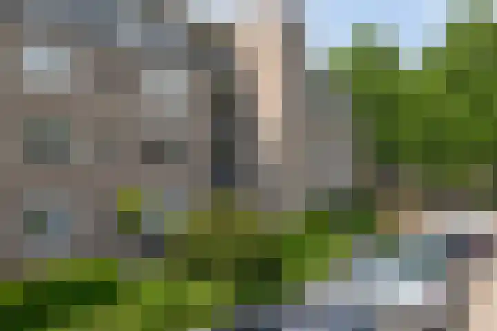 De Stockbempt 22 Nuenen thumbnail 6