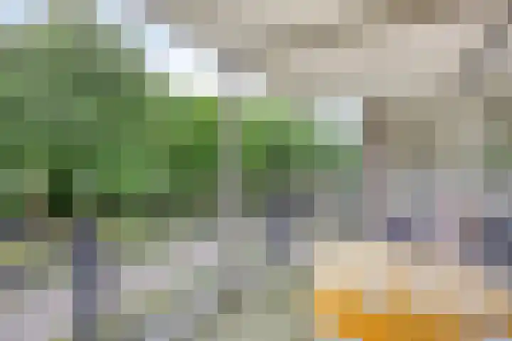 De Stockbempt 68 Nuenen thumbnail 18