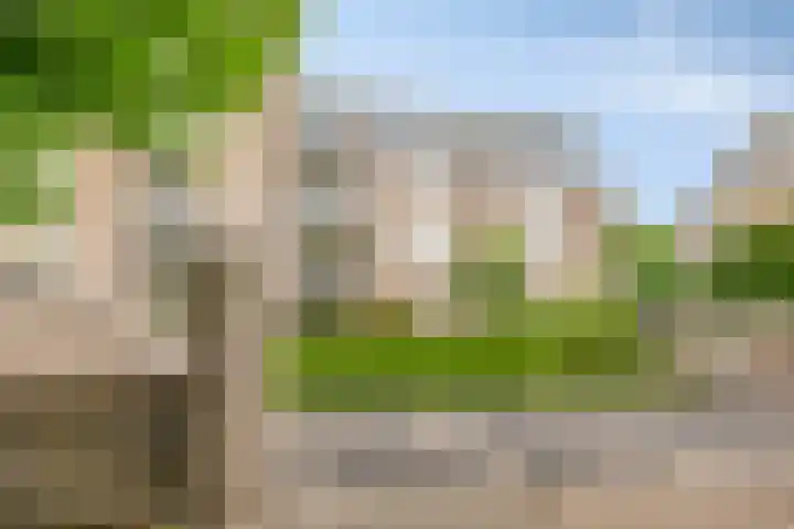 De Stockbempt 68 Nuenen thumbnail 21