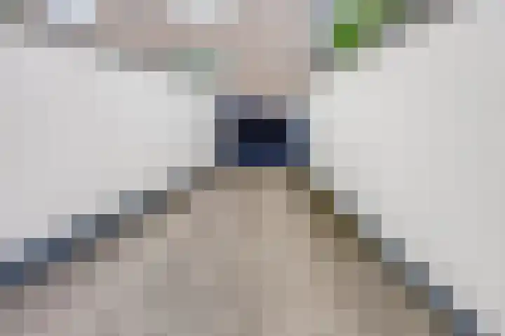 De Stockbempt 68 Nuenen thumbnail 22
