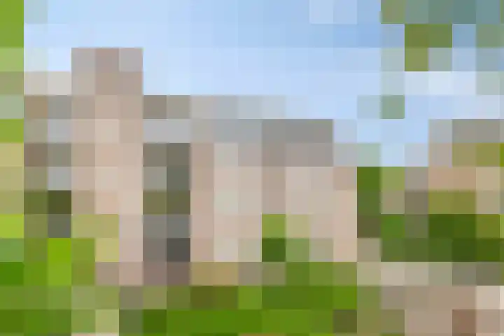 De Stockbempt 68 Nuenen thumbnail 26
