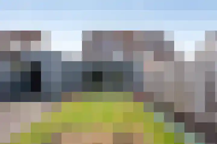 De Stoeke 19 Wolvega thumbnail 23
