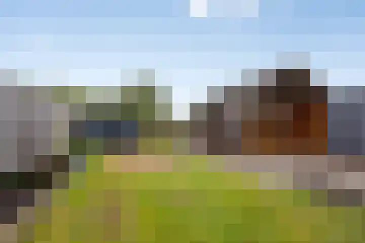 De Stoeke 19 Wolvega thumbnail 24